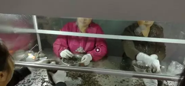 超凈工作臺(tái),蘇凈超凈工作臺(tái)